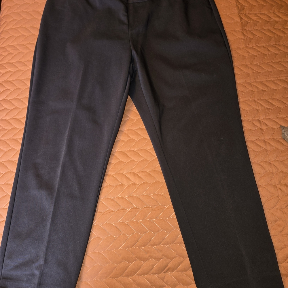 Investments Brown Ankle Pants